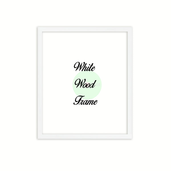 White  Wood Frame Signature Frames Perfect Modern Comtemporary Photo Art Gallery Poster Photograph Home Decor